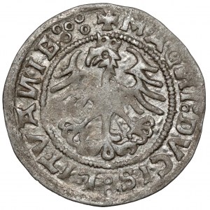 Sigismund I the Old, Vilnius 1520 half-penny - rare