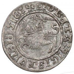 Sigismund I. der Alte, Halber Pfennig Vilnius 1518