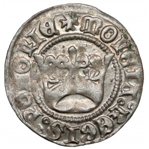 Alexander Jagiellonian, Half-penny of Cracow - cabinet