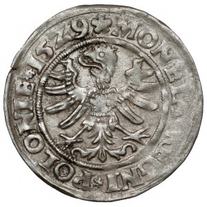 Sigismund I the Old, Grosz Kraków 1529