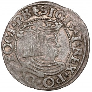 Sigismund I the Old, Gdansk penny 1535 - early