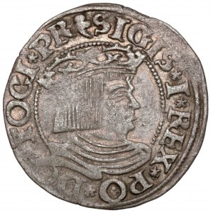 Sigismund I. der Alte, Danziger Pfennig 1535 - früh