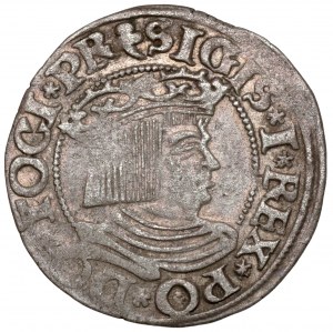 Zygmunt I Stary, Grosz Gdańsk 1535 - wczesny