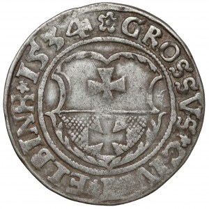 Sigismund I. der Alte, Pfennig Elbląg 1534