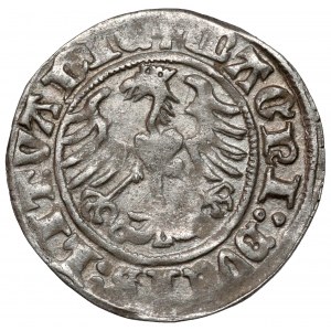 Sigismund I. der Alte, Półgrosz Wilno 1510