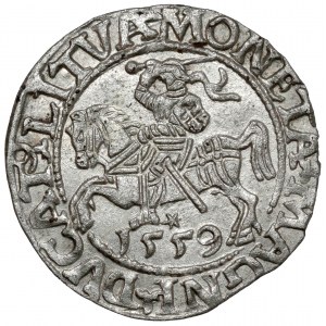 Sigismund II Augustus, halber Pfennig Vilnius 1559 - LITVA