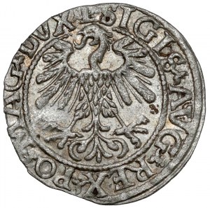 Zygmunt II August, Półgrosz Wilno 1559 - LITVA