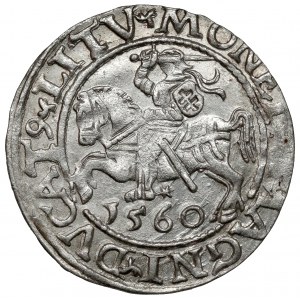 Sigismund II. Augustus, halber Pfennig Vilnius 1560