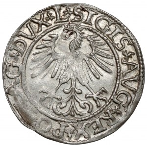 Sigismund II Augustus, Half-grosz Vilnius 1561