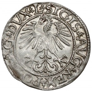 Sigismund II. Augustus, halber Pfennig Vilnius 1561