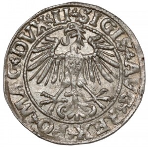 Sigismund II. Augustus, halber Pfennig Vilnius 1550