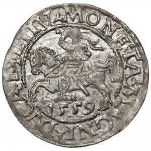 Sigismund II. Augustus, halber Pfennig Vilnius 1559