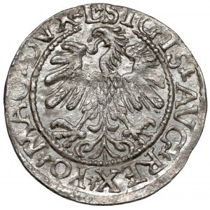 Sigismund II Augustus, Half-penny Vilnius 1559