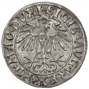 Sigismund II Augustus, Vilnius 1550 halber Pfennig - seltene Sorte