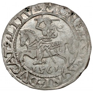 Sigismund II. Augustus, halber Pfennig Vilnius 1561