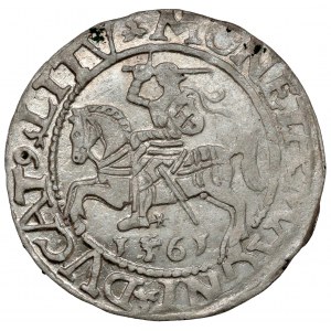 Sigismund II Augustus, Half-grosz Vilnius 1561