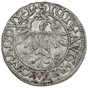 Zygmunt II August, Półgrosz Wilno 1562