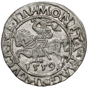 Sigismund II Augustus, Half-penny Vilnius 1559