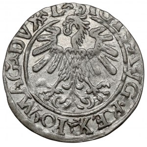 Sigismund II. Augustus, halber Pfennig Vilnius 1559