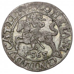 Sigismund II. Augustus, halber Pfennig Vilnius 1565