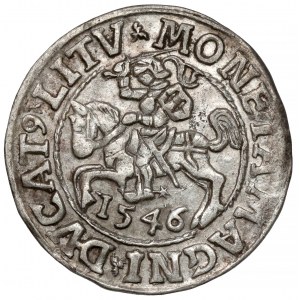 Sigismund II. Augustus, halber Pfennig Vilnius 1546