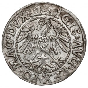 Sigismund II Augustus, Half-penny Vilnius 1546
