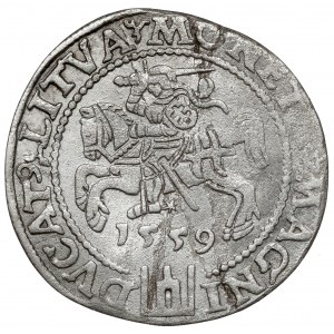 Sigismund II Augustus, Lithuanian foot penny 1559, Vilnius