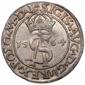 Sigismund II Augustus, Trojak Vilnius 1564
