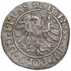 Zygmunt I Stary, Szeląg Elbląg 1532