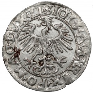 Sigismund II Augustus, Half-grosz Vilnius 1556