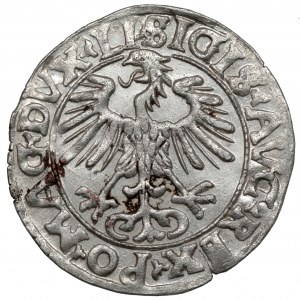 Sigismund II. Augustus, halber Pfennig Vilnius 1556
