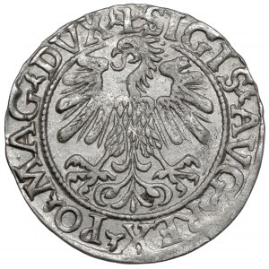 Sigismund II. Augustus, halber Pfennig Vilnius 1559