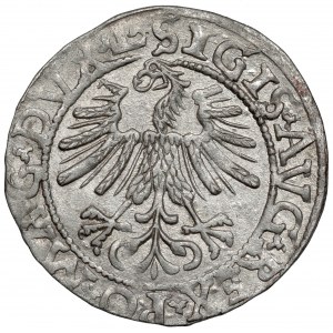 Sigismund II. Augustus, halber Pfennig Vilnius 1562