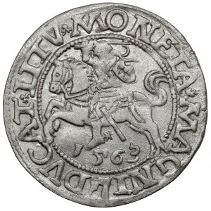 Sigismund II. Augustus, Halbgrosse Vilnius 1563 - Gross Pogoń