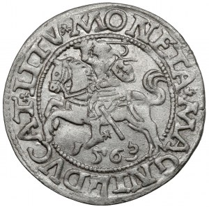 Sigismund II Augustus, Vilnius 1563 half-grosz - large Pogon