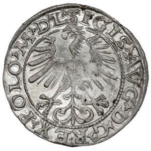 Sigismund II Augustus, halber Pfennig Vilnius 1563 - mit D*G