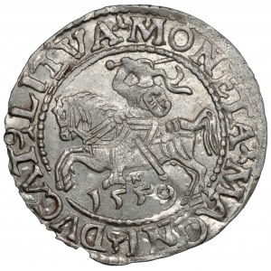 Sigismund II Augustus, halber Pfennig Vilnius 1559 - LITVA