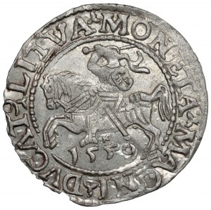 Zygmunt II August, Półgrosz Wilno 1559 - LITVA