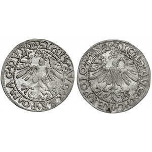Sigismund II Augustus, halber Pfennig Vilnius 1563 und 1565 (2 Stück)