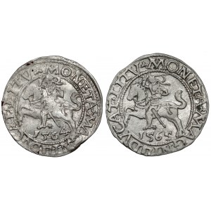 Sigismund II Augustus, Vilnius 1564 and 1565 half-penny (2pcs)