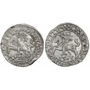 Sigismund II Augustus, halber Pfennig Vilnius 1564 und 1565 (2 Stück)