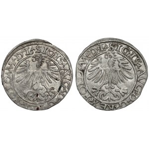 Sigismund II Augustus, Vilnius 1564 and 1565 half-penny (2pcs)