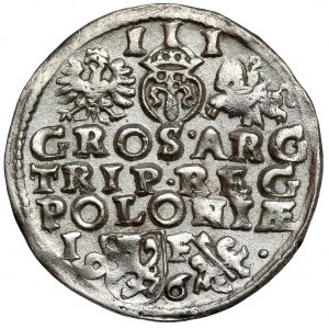 Sigismund III. Wasa, Troika Lublin 1596
