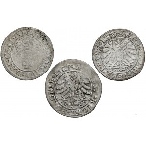 Sigismund I the Old, Pennies 1527-1533, set (3pcs)