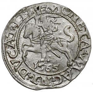 Sigismund II Augustus, halber Pfennig Vilnius 1565 - OHNE Beil - schön