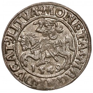 Sigismund II. Augustus, halber Pfennig Vilnius 1549