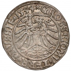 Sigismund I the Old, Torun penny 1534 - in cap