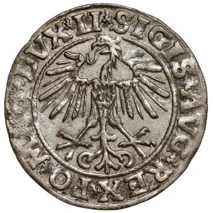 Sigismund II. Augustus, halber Pfennig Vilnius 1551