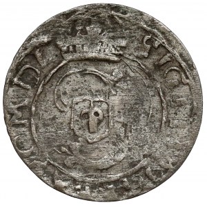 Zygmunt III Waza, Trzeciak Łobżenica 1630