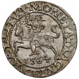 Sigismund II. Augustus, halber Pfennig Vilnius 1564
